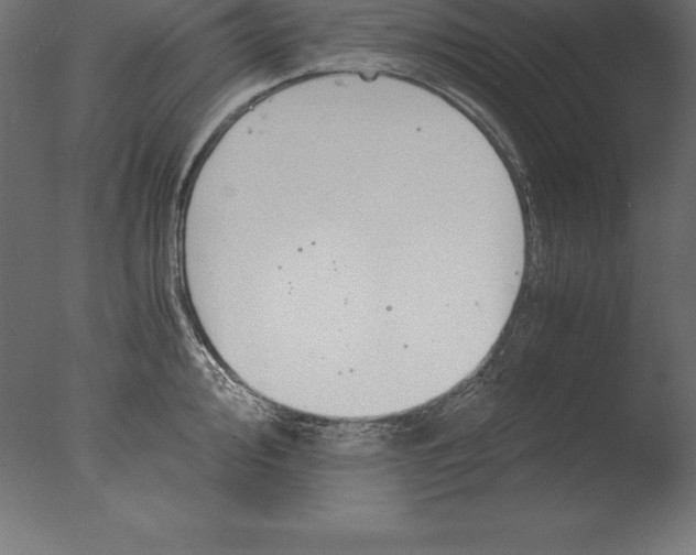 X0000076351000200610201755