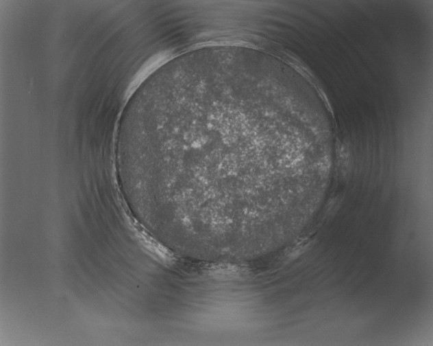 X0000076351002200610201755