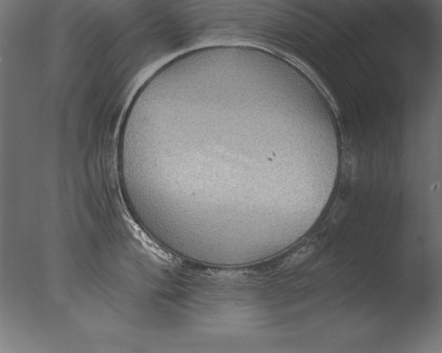 X0000076351004200610201755