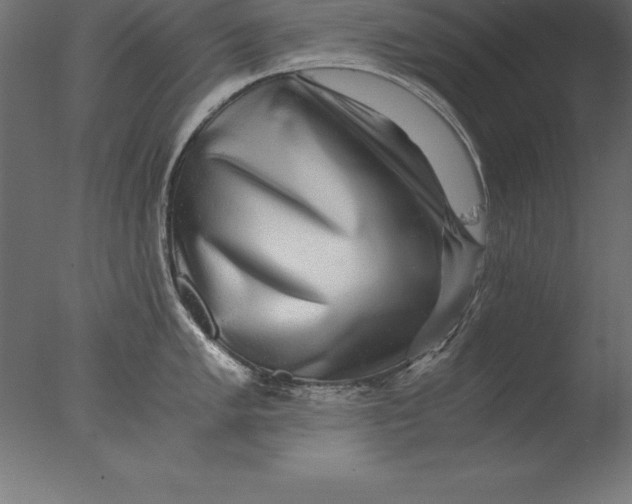 X0000076351005200610201755