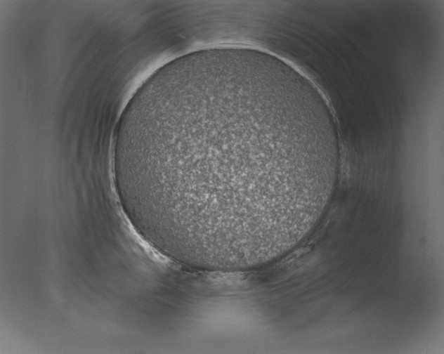 X0000076351006200610201755