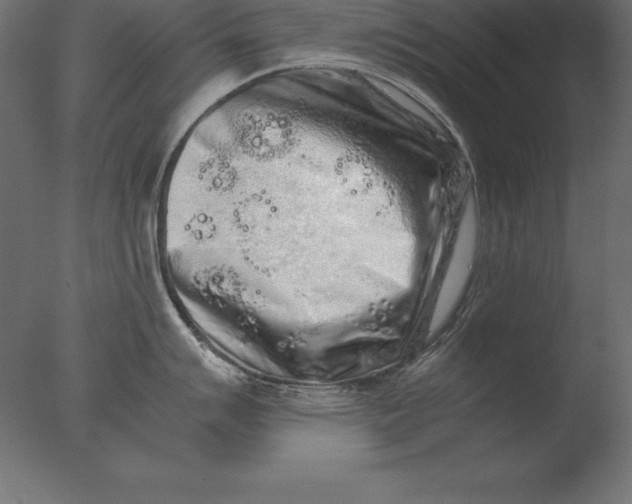 X0000076351007200610201755