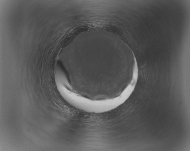 X0000076351009200610201754