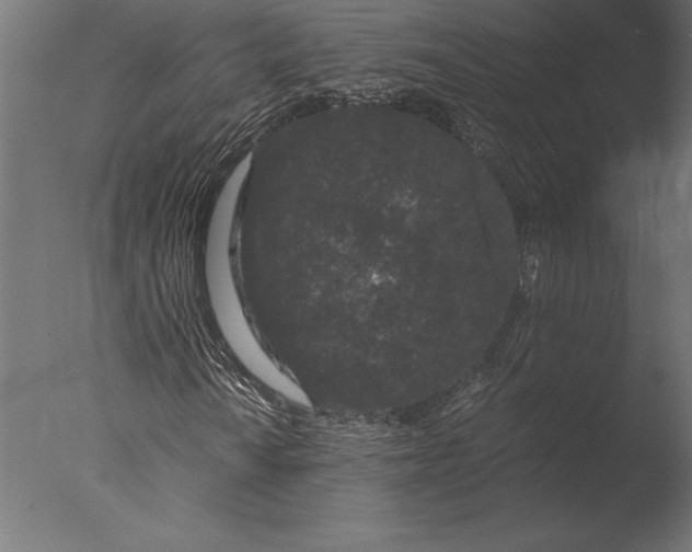 X0000076351010200610201754