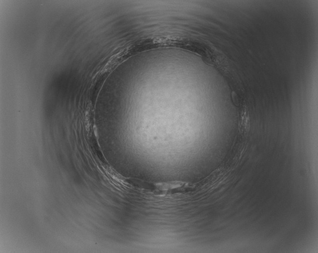 X0000076351012200610201754