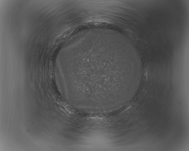 X0000076351014200610201754