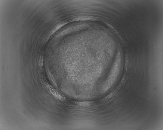 X0000076351017200610201754