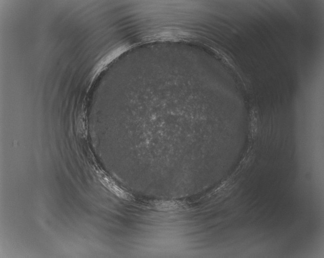 X0000076351018200610201754