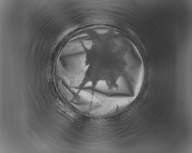 X0000076351019200610201754