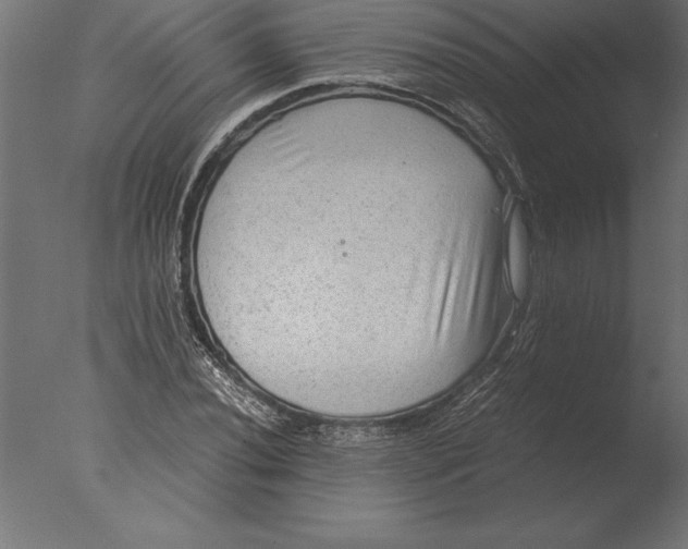 X0000076351020200610201754