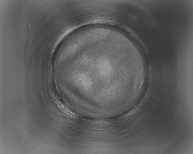 X0000076351021200610201755