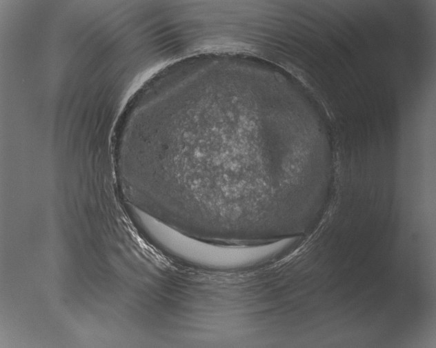 X0000076351022200610201755