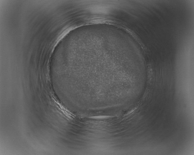 X0000076351023200610201755