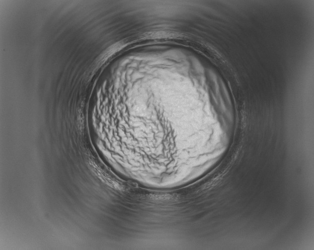 X0000076351025200610201755