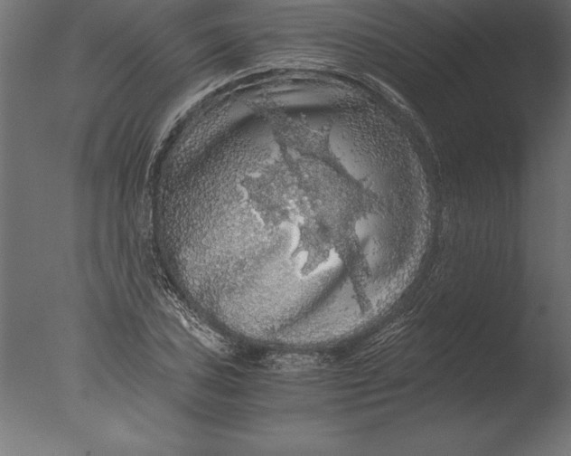 X0000076351027200610201755