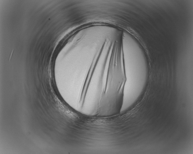 X0000076351028200610201755