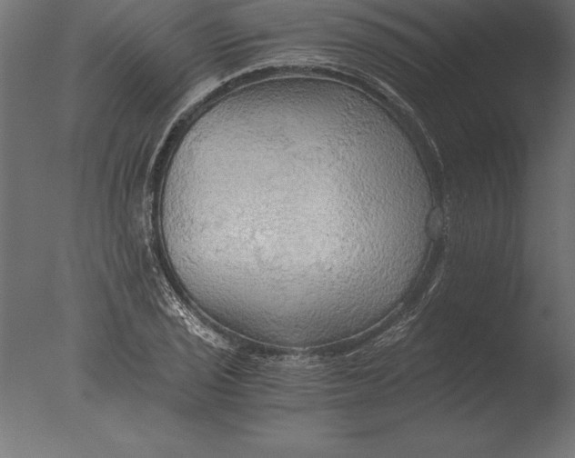 X0000076351029200610201755