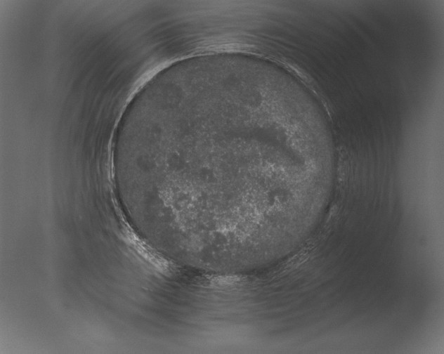 X0000076351031200610201755