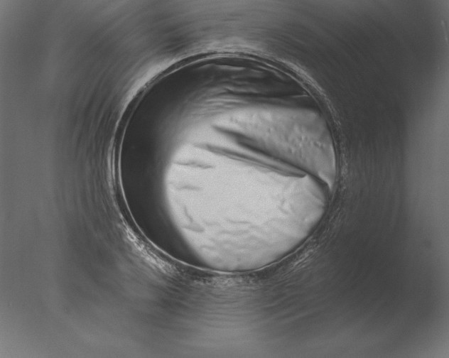 X0000076351032200610201755