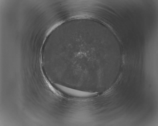 X0000076351034200610201755