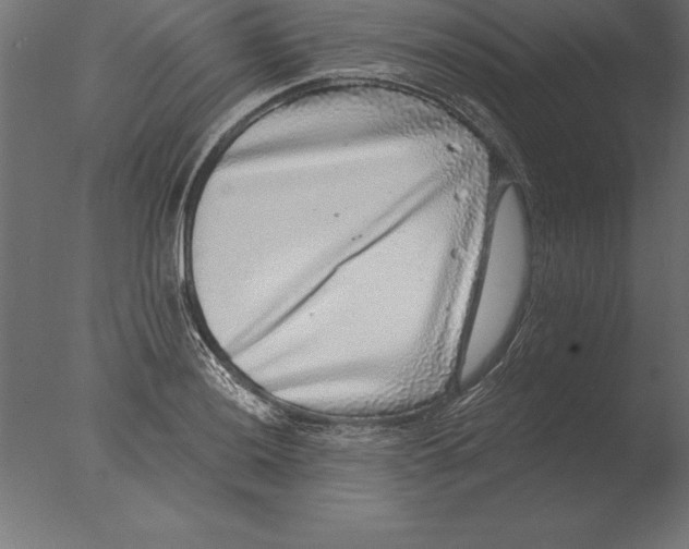 X0000076351036200610201755