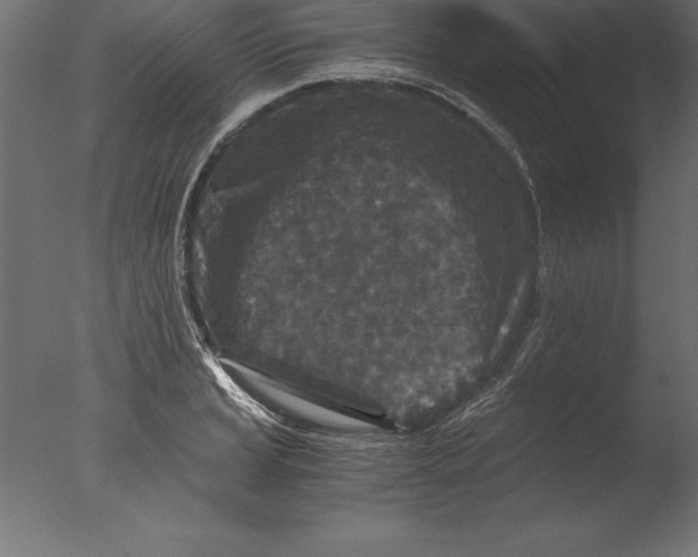 X0000076351037200610201755