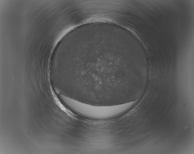 X0000076351038200610201755