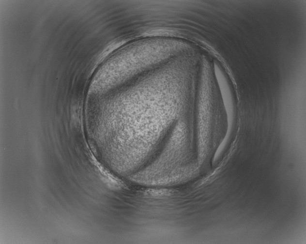 X0000076351041200610201755