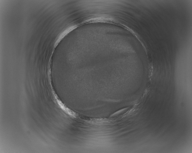 X0000076351042200610201755