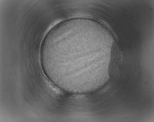 X0000076351043200610201755