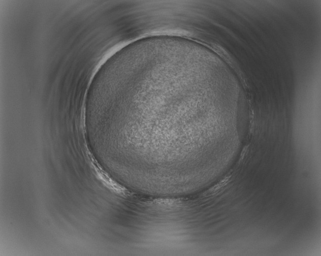 X0000076351044200610201755