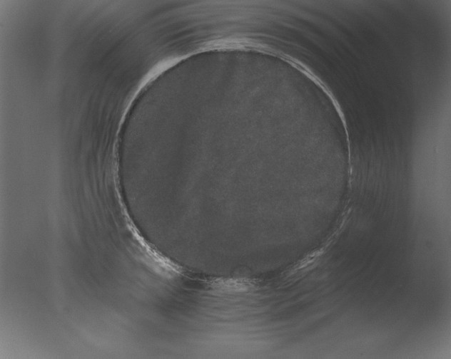 X0000076351045200610201755