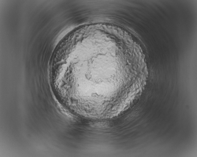 X0000076351047200610201755