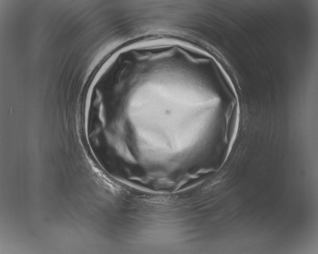 X0000076351048200610201755