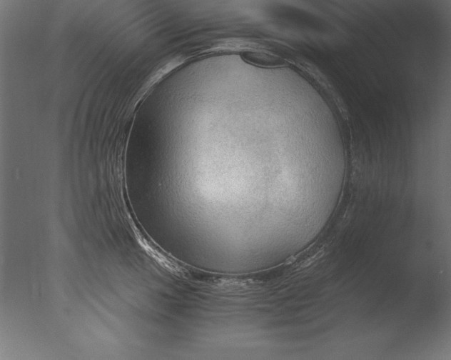 X0000076351049200610201755