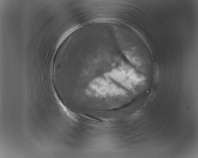 X0000076351050200610201755