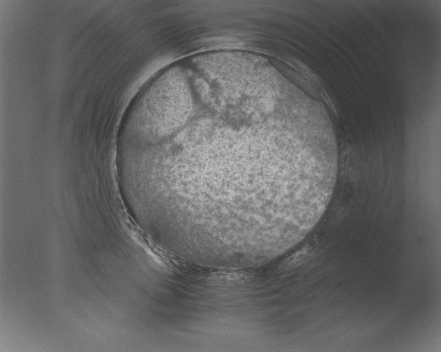 X0000076351051200610201755