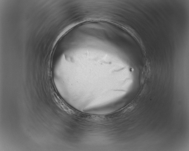 X0000076351052200610201755