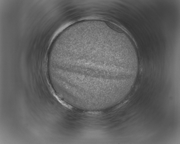 X0000076351053200610201755