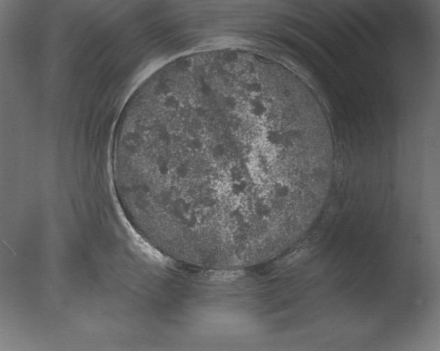 X0000076351055200610201755