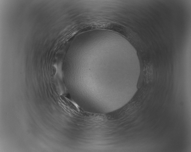 X0000076351058200610201754