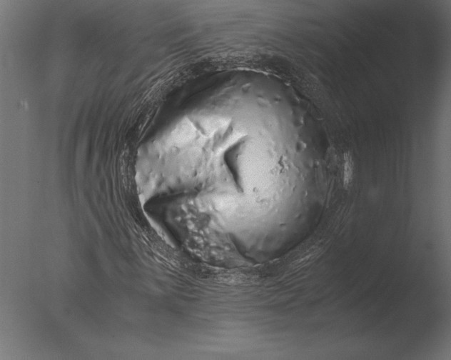 X0000076351059200610201754