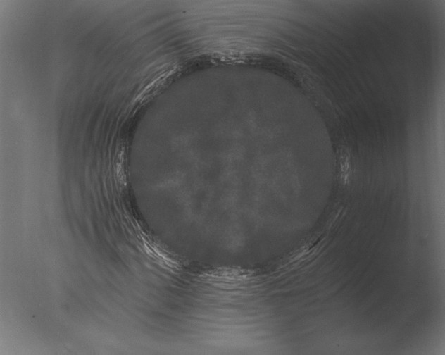 X0000076351060200610201754