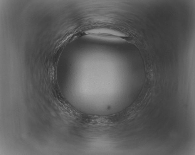 X0000076351061200610201754