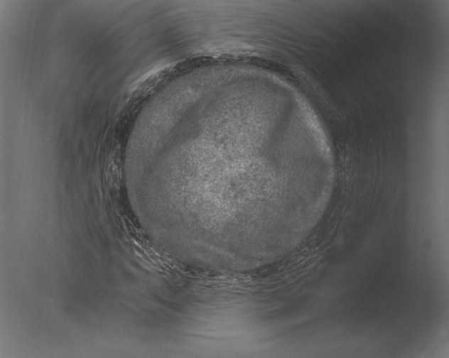 X0000076351063200610201754