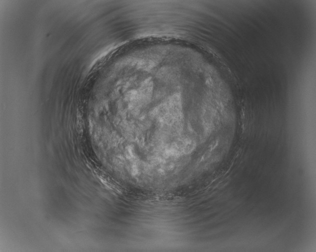 X0000076351064200610201754