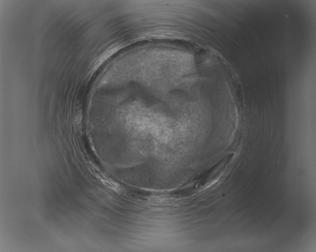 X0000076351065200610201754