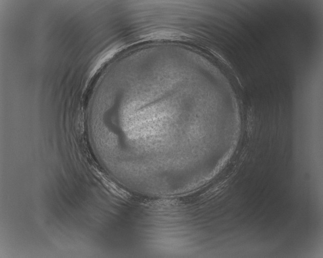 X0000076351067200610201754