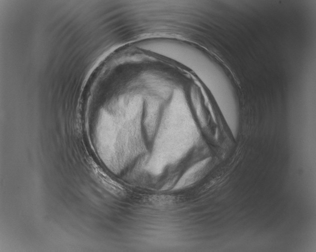 X0000076351068200610201754