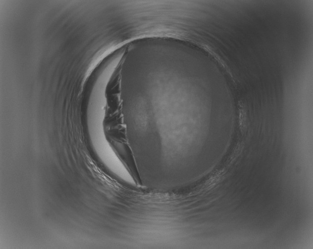 X0000076351069200610201754